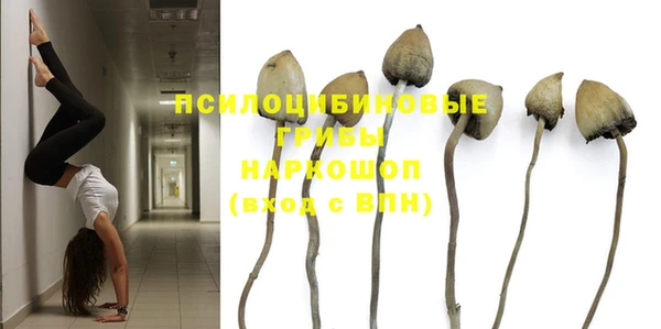 прущая мука Михайлов