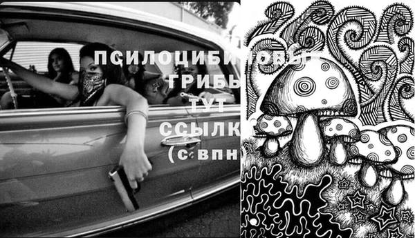 молекула духа Михайловск