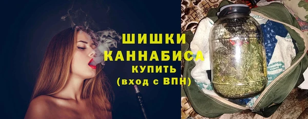 молекула духа Михайловск